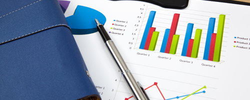 business-overview
